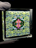 MAP GLASS
