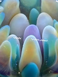 BC GLASS